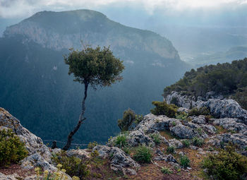 Scenic view of mountains