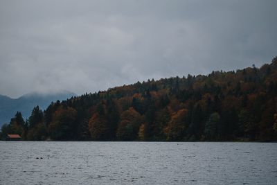 Scenic view of lake by trees against sky