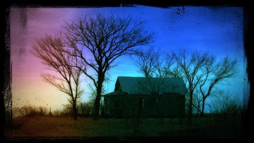 Bare trees on field against sky