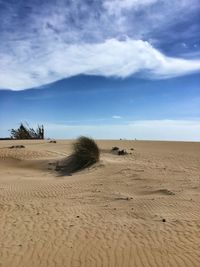 Sand dunes in desert against sky