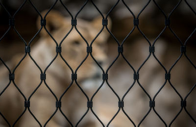 Full frame shot of chainlink fence against sky