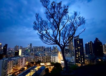 City by tree against sky at dusk
