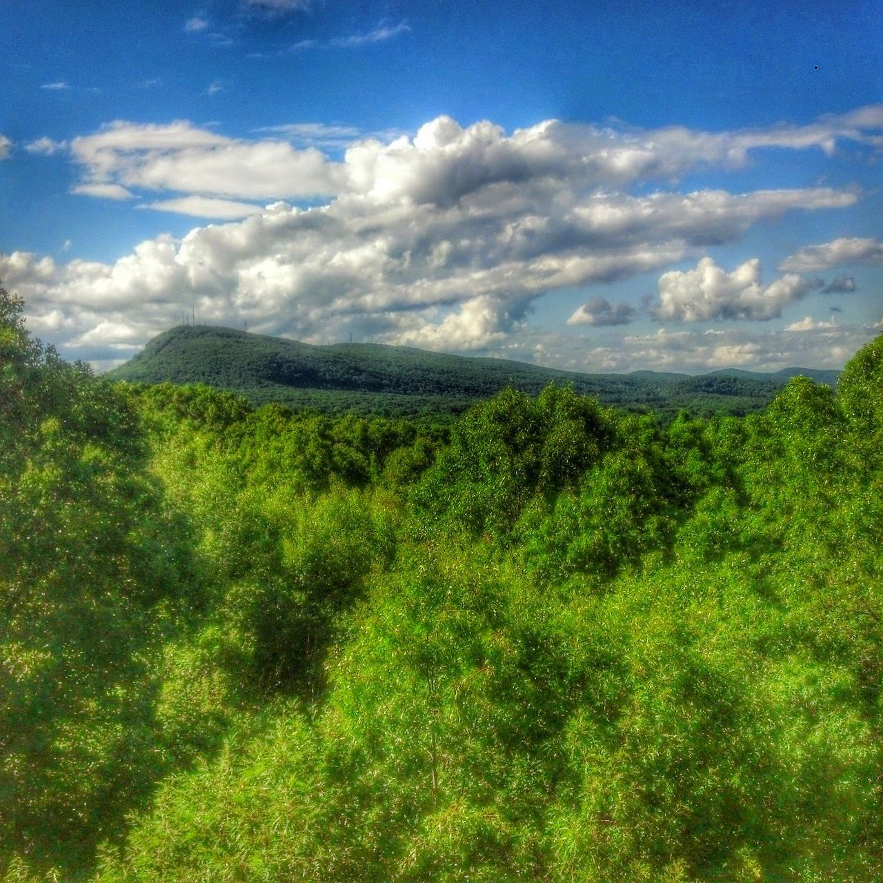 mountain, tranquil scene, sky, tranquility, scenics, beauty in nature, landscape, green color, mountain range, tree, nature, cloud - sky, growth, grass, cloud, non-urban scene, idyllic, lush foliage, day, plant