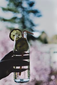 Cropped hand of person holding glass bottle