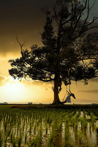 Scenic view of field against sky during sunset