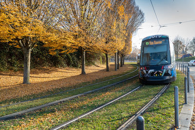 Railroad tracks amidst trees during autumn