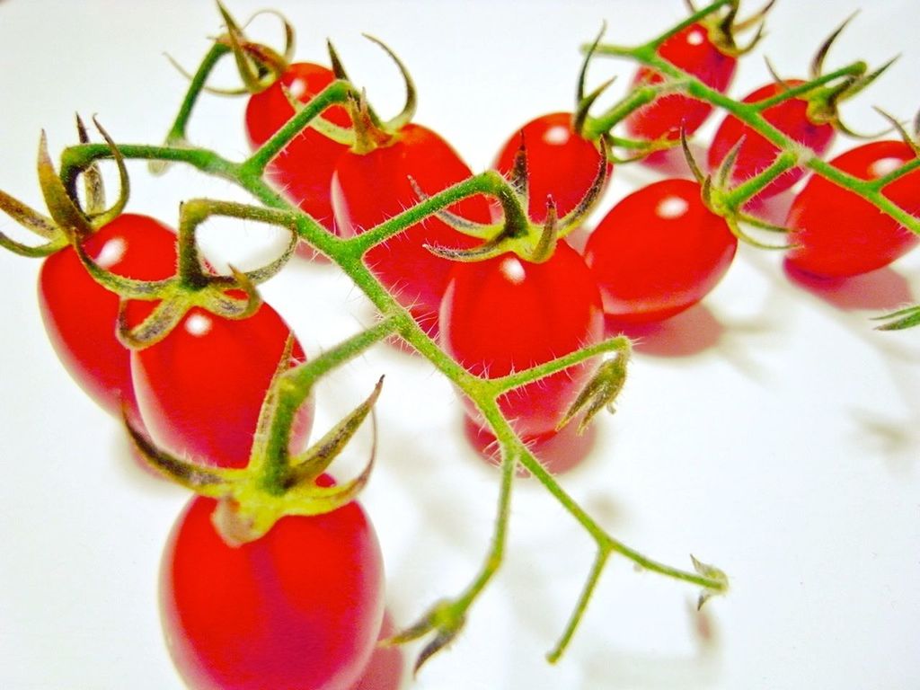 red, freshness, food and drink, food, healthy eating, close-up, fruit, indoors, still life, tomato, vegetable, white background, studio shot, organic, leaf, stem, table, ripe, no people, cherry