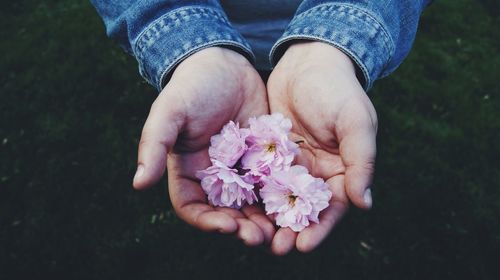 Low section of person holding flower