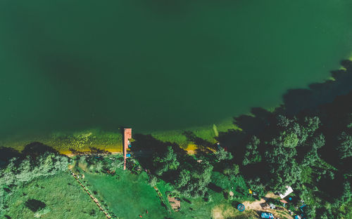 High angle view of trees at night