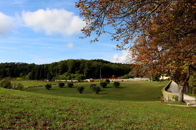 Trees on field against sky during autumn