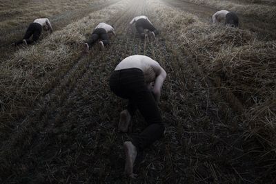 People working on field