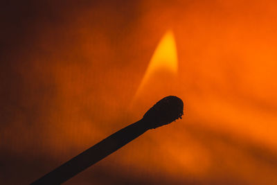 Close-up of orange sky at sunset