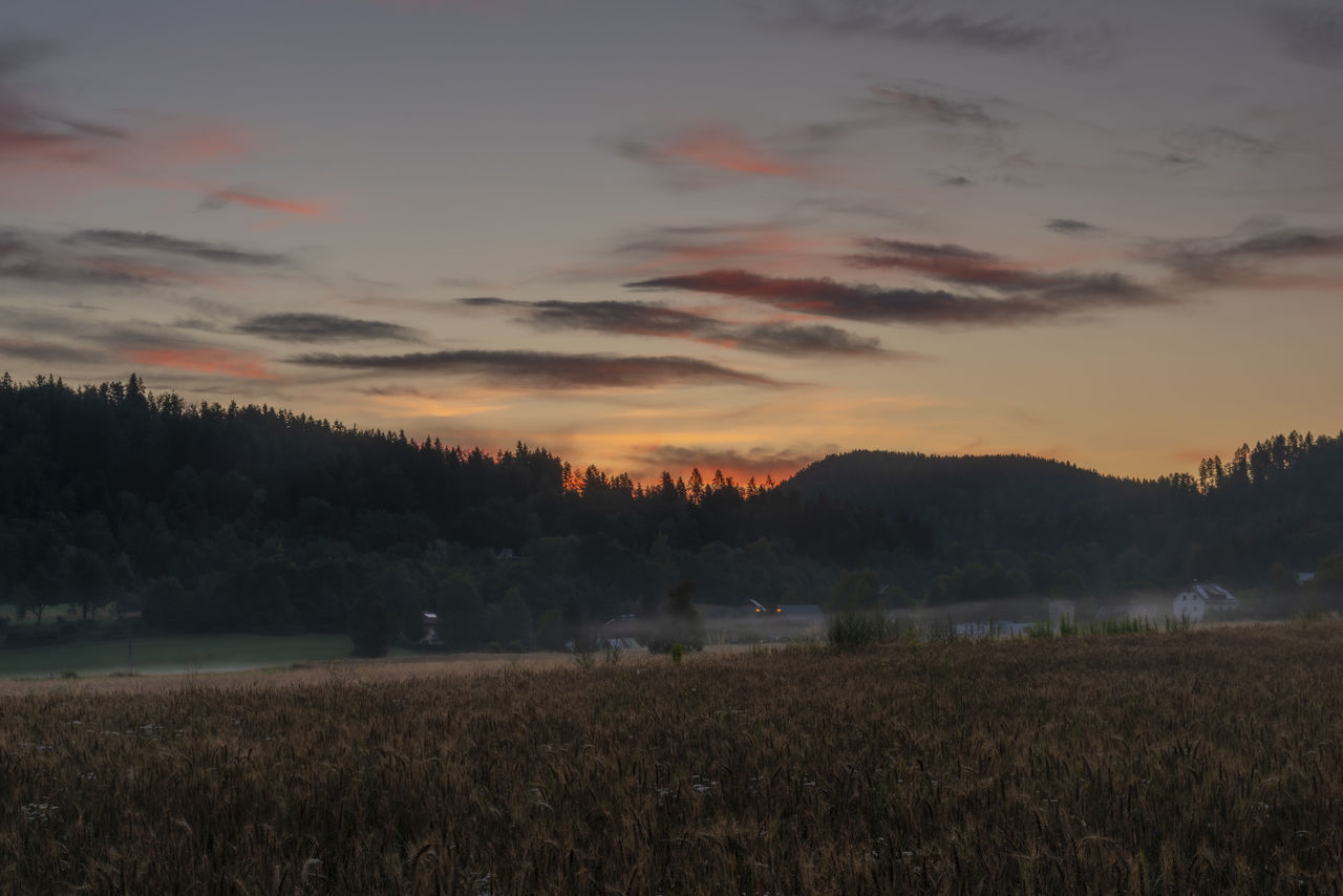 FIELD AGAINST SKY DURING SUNSET