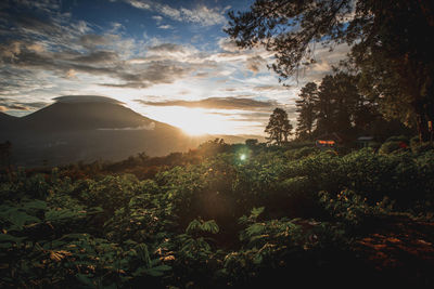 Scenic view of landscape against sky during sunset