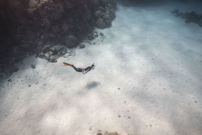 High angle view of person swimming in sea