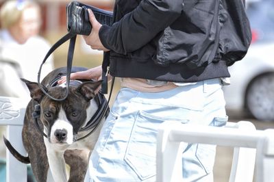 Midsection of man holding dog