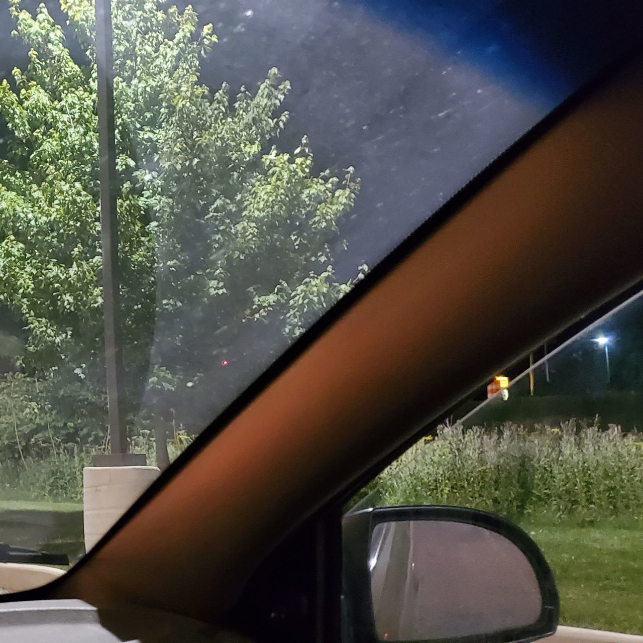 plant, tree, light, nature, transportation, car, mode of transportation, glass, rear-view mirror, motor vehicle, no people, vehicle, sky, window, land vehicle, outdoors, mirror, windshield, automotive mirror, day, architecture