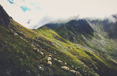 Scenic view of mountains against sky