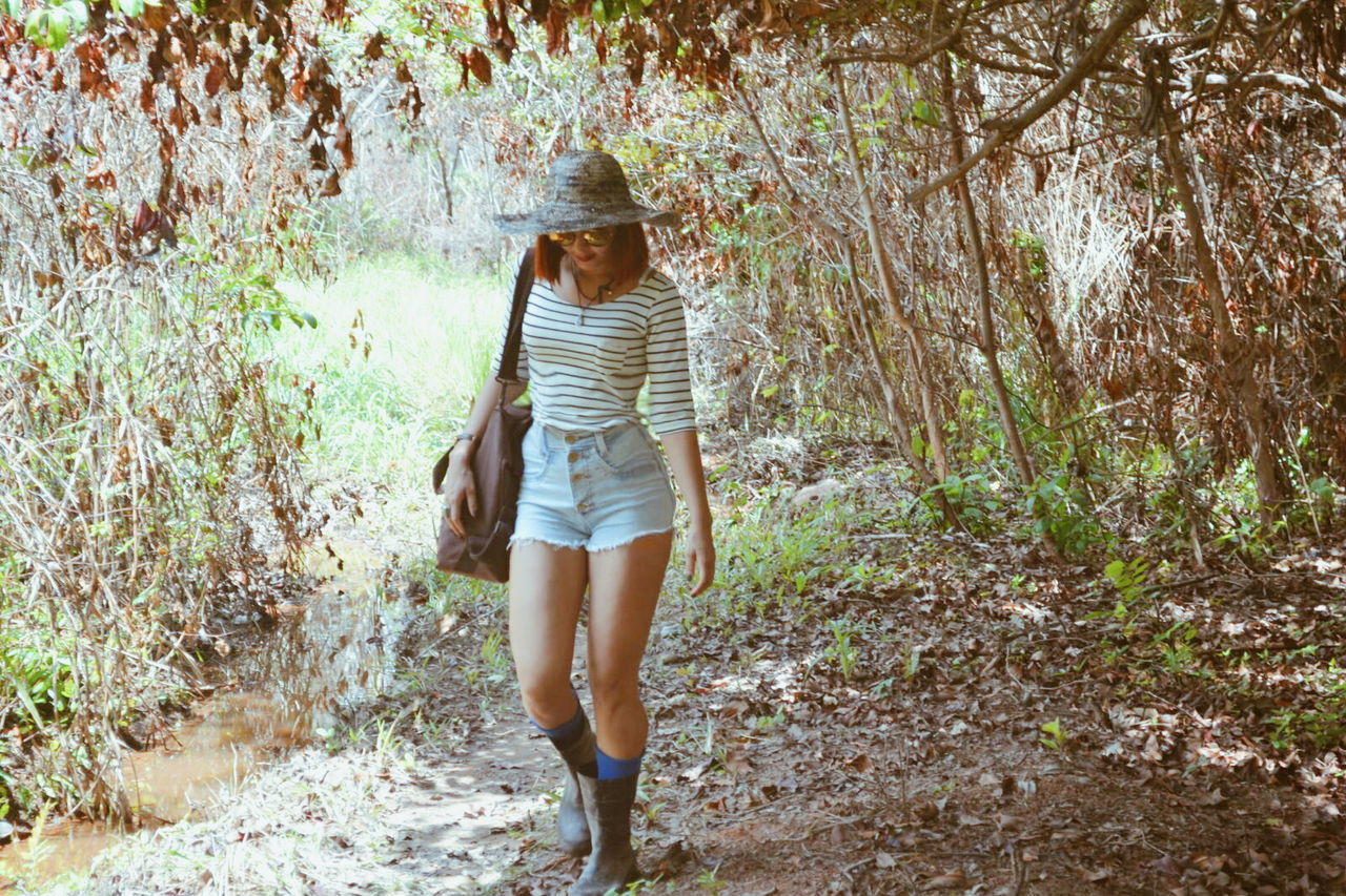 full length, rear view, lifestyles, leisure activity, casual clothing, standing, tree, young adult, person, young women, long hair, walking, forest, nature, plant, tranquility, outdoors, day