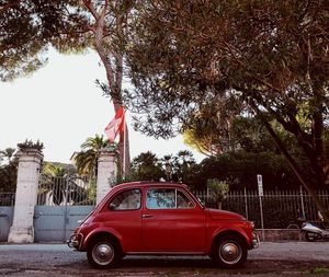 Red car on street against trees in city