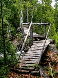 Staircase in forest