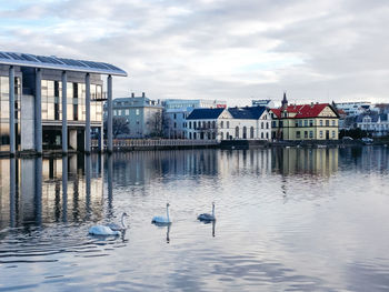 Ducks swimming in lake against buildings