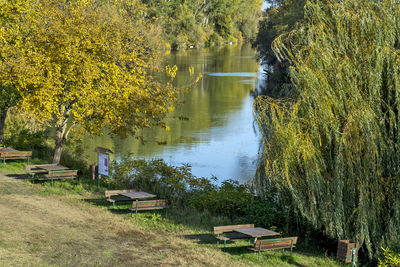 Scenic view of lake by trees