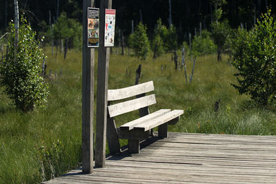 Empty bench in park