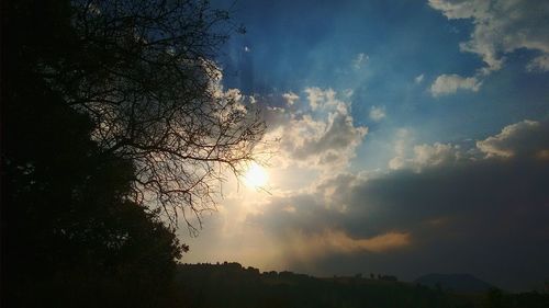 Low angle view of silhouette trees against sky at sunset