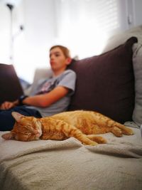 Close-up of cat sleeping on sofa with boy sitting in background