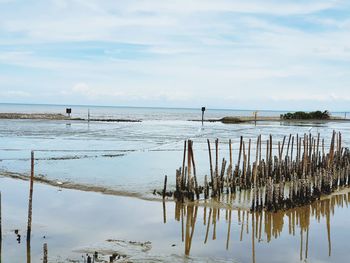 Wooden posts on beach against sky