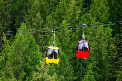 Overhead cable car in forest