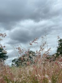 cloud - sky