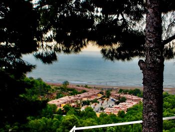 Scenic view of sea by trees in city