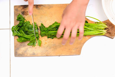 Midsection of woman preparing food at home