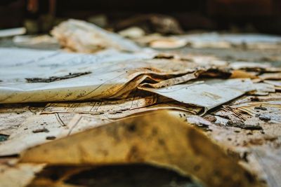 Close-up of abandoned floor