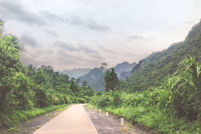 Road amidst trees against sky