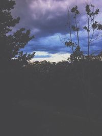 Silhouette trees against cloudy sky