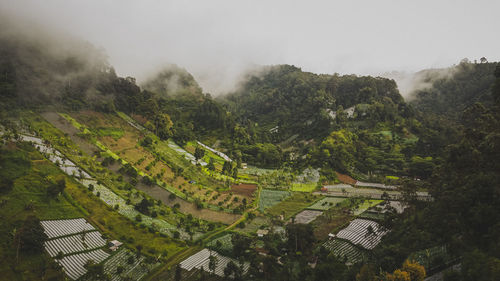 High angle view of trees on landscape against sky