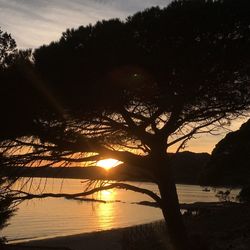 Silhouette trees by lake against sky during sunset