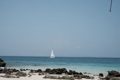 Sailboat sailing in sea against clear sky