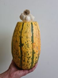 Close-up of hand holding pumpkin against gray background