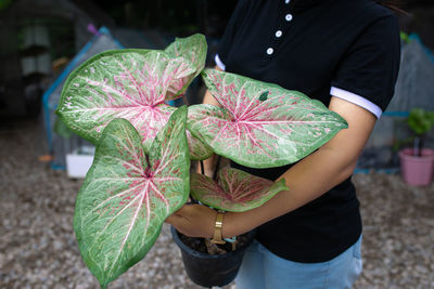 Midsection of woman holding leaves