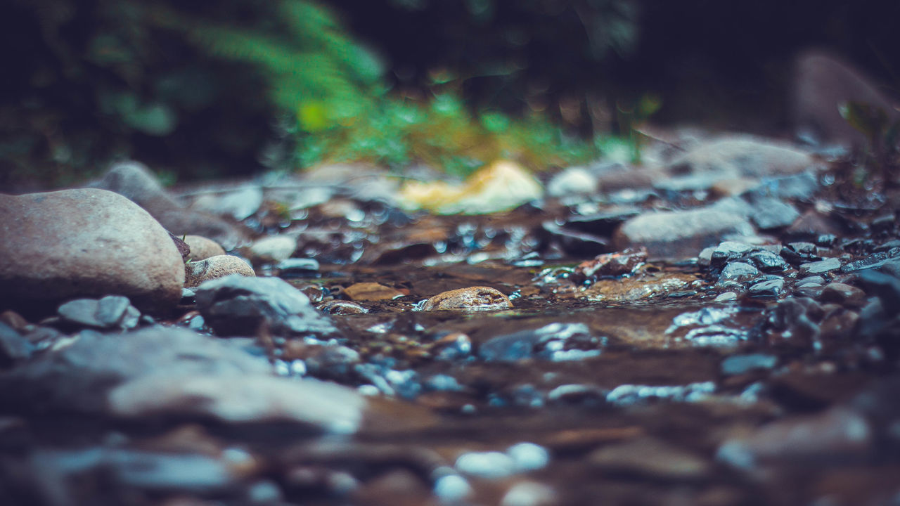 SURFACE LEVEL OF ROCKS