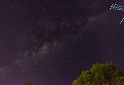 Low angle view of trees against star field at night