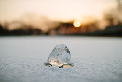 Close-up of ice on snow covered field 