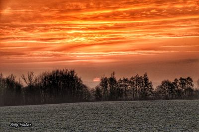Scenic view of field against sky during winter