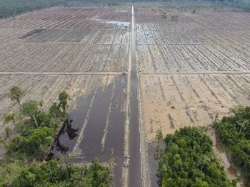 High angle view of agricultural field