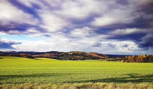 Scenic view of field against sky