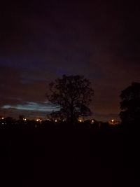 Silhouette trees against sky at night